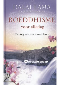 Boeddhisme voor alledag