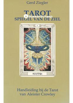 De Tarot Spiegel van de Ziel