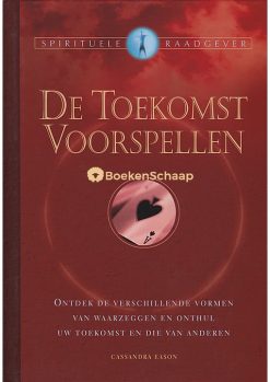 De Toekomst Voorspellen