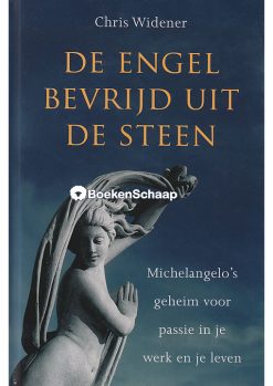 De engel bevrijd uit de steen