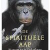 De spirituele aap