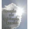 genade als spirituele kracht