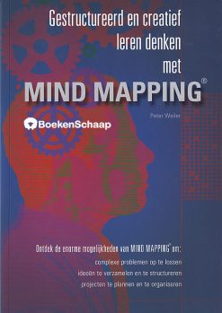 gestructureerd en creatief leren denken met mind mapping