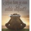 Hoe tem je een wilde olifant