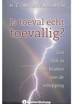 Is toeval echt toevallig