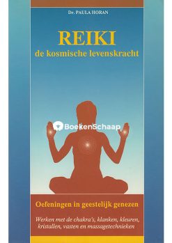 reiki de kosmische levenskracht