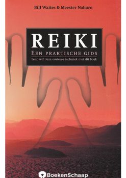 reiki een praktische gids