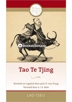 Tao Te Tjing Paperback
