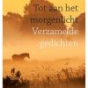 Tot aan het morgenlicht