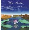 Unfolding the lotus