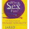 Why is Sex Fun