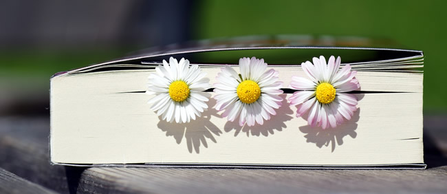 bloemen in een boek