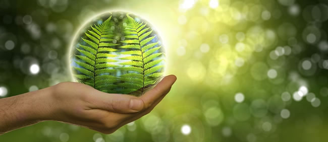 ecologisch verpakken